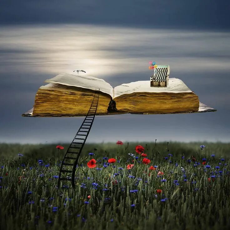 Жизнь как опыт книг библиотека заблуждений