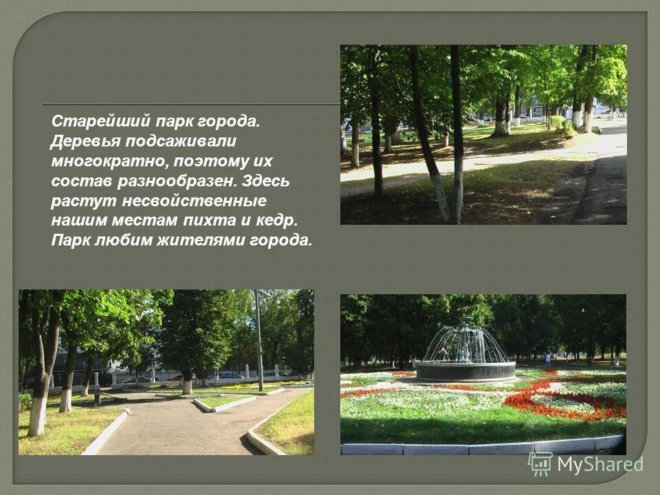 сквер горького краснодар. парк пушкина темрюк. названия городских парков. воронеж парк кольцовский сквер. парк городской сад краснодар.