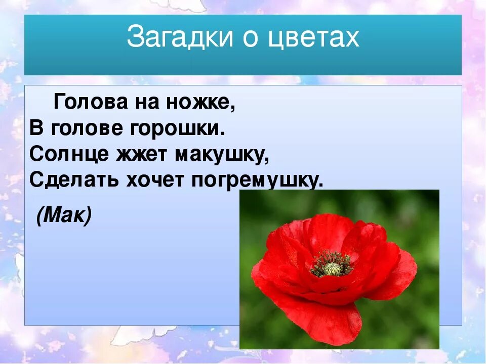 Загадки про цветы. Загадки про цветы для детей. Загадки про цветы маленькие. Цвета в загадках.