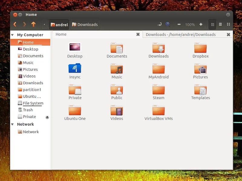 Fabscan ubuntu live. Ubuntu наутилус. Окно файлы убунту. Оконный менеджер muffin. Менеджер файлов linux ubuntu.