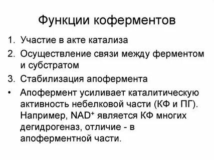 Какую роль в составе фермента играют коферменты