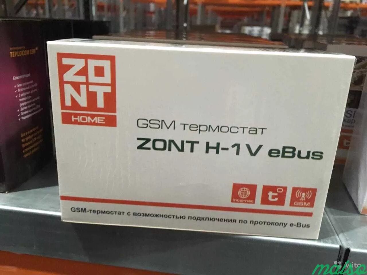 Zont h 1v ebus