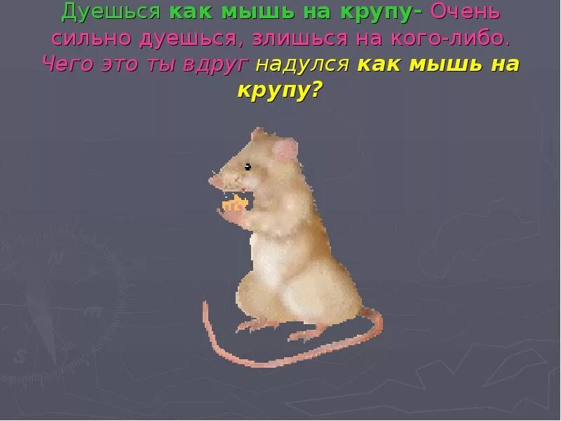 Мышь пословица. Мышь дуется на крупу. мышь на крупу надулась. дуется как мышь на крупу. надулся как мышь на крупу.