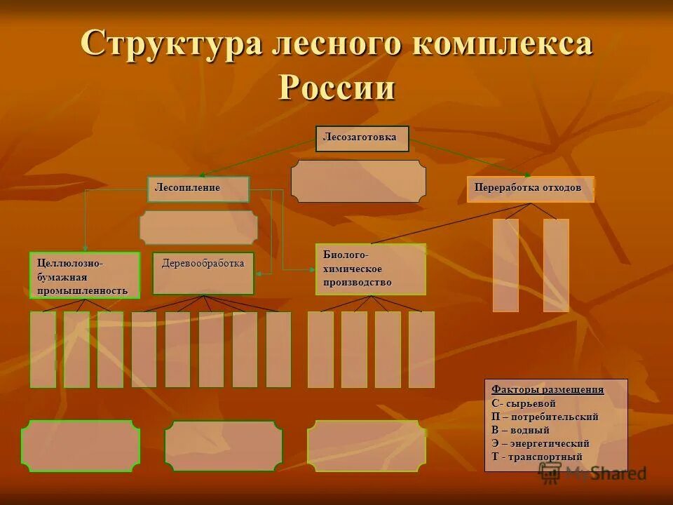 этапы производства в лесной промышленности. отраслевой состав лесного комплекса. отраслевой состав лпк. структура комплекса лесной промышленности. структура лесного комплекса россии таблица.