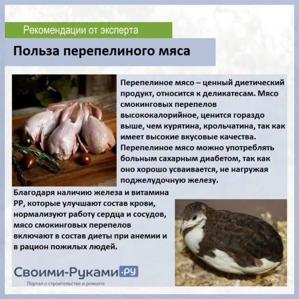 Перепелиные вред