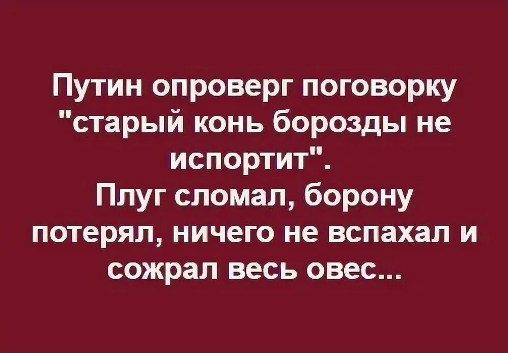 Поговорка не испортить. Поговорка старый конь борозды. Старый конь борозды не испортит. Пословица старый конь борозды не портит. Старый конь борозды не испортит продолжение пословицы.