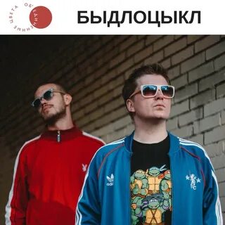 Быдлоцыкл концерты