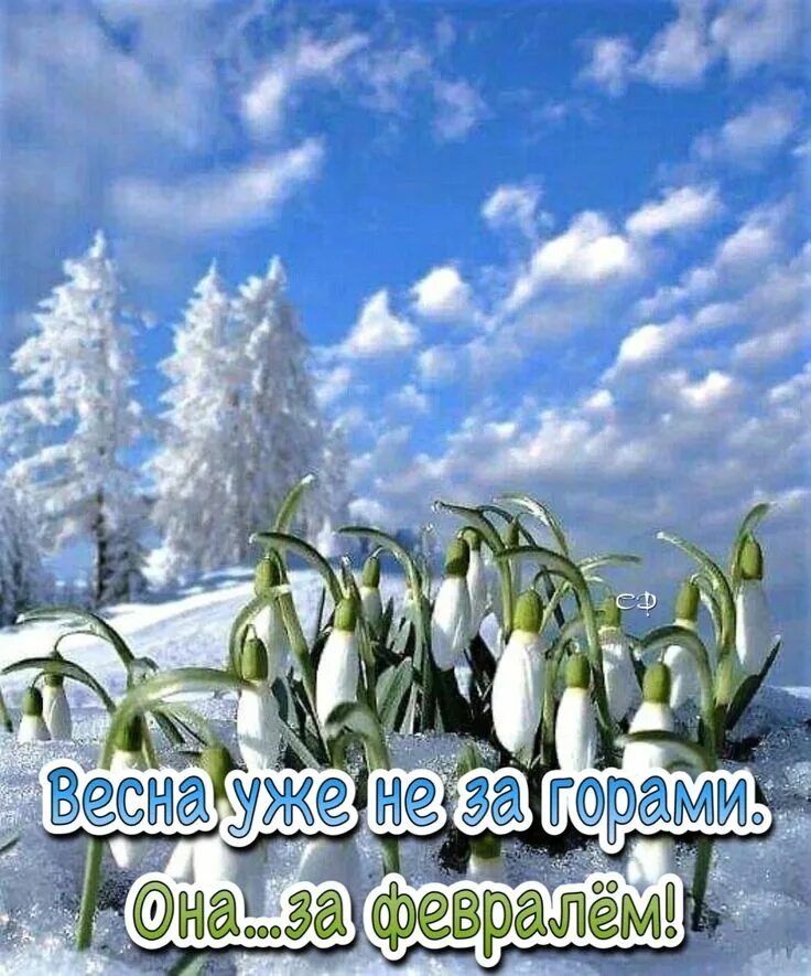 Март будет зимним