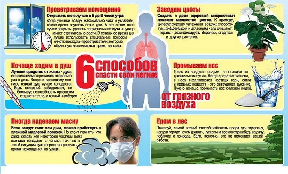 профилактика заболеваний органов дыхания памятка