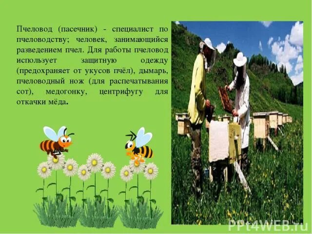 Проект о профессии пчеловод 2 класс Как пишется пчеловод: найдено 82 изображений
