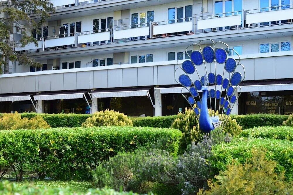 Сочи пансионат магнолия. Магнолия 3 сочи. Гостиничный комплекс сочи-магнолия. Сочи отель курортный проспект 50. Сочи отель курортный проспект 50.