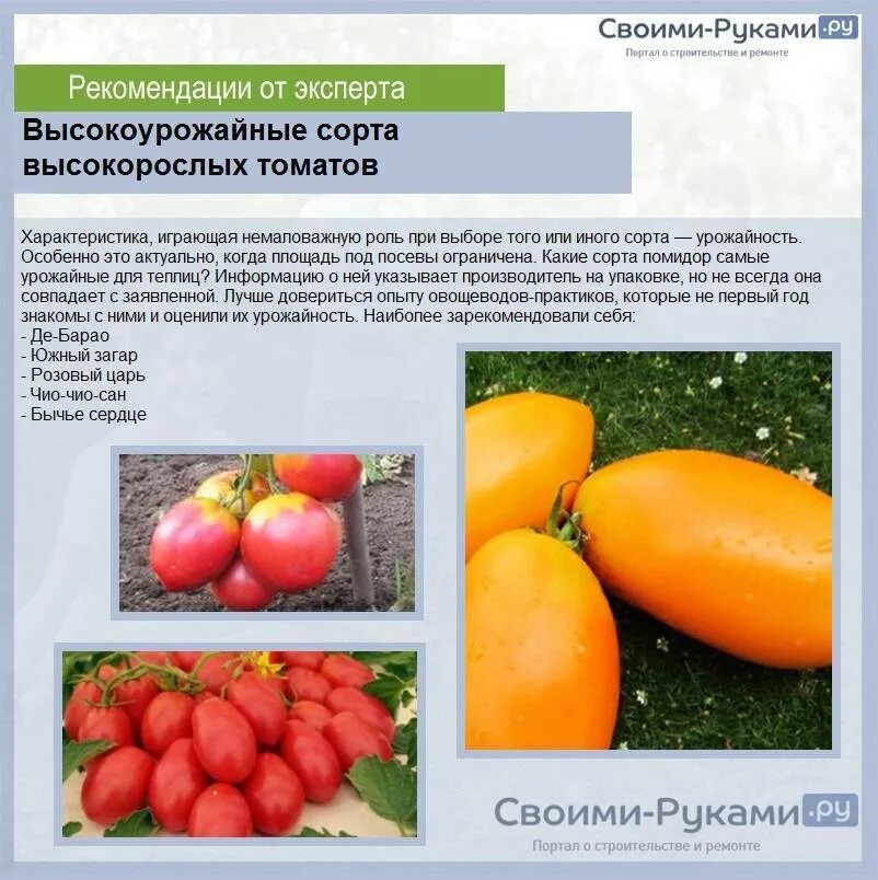 Виды сортов помидоров. Томат Великосветский f1. Высокорослые томаты для открытого грунта высокоурожайные сорта. Среднерослые томаты для теплиц высокоурожайные. Высокорослые урожайные сорта томатов для теплиц.