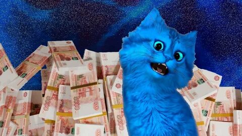 Рутуб котята