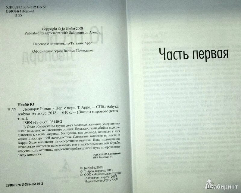 Леопард книга несбе. Харри холе леопард книга. леопард ю несбё обложка. леопард ю несбё аудиокнига букмейт.