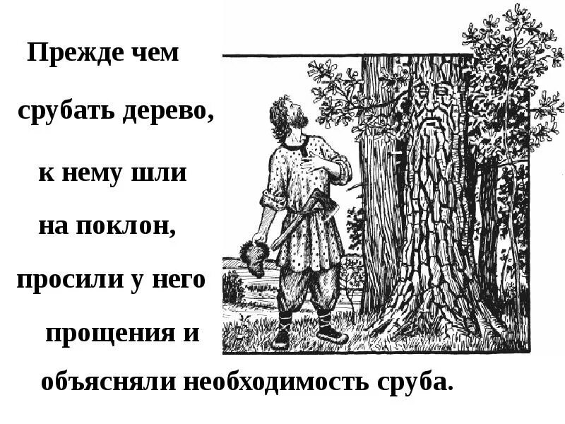 Срубленное дерево не вырастет смысл пословицы. Славяне рубят деревья. дерево прощения. древний славянин человек рубит деревья. когда будет срублено последнее дерево.