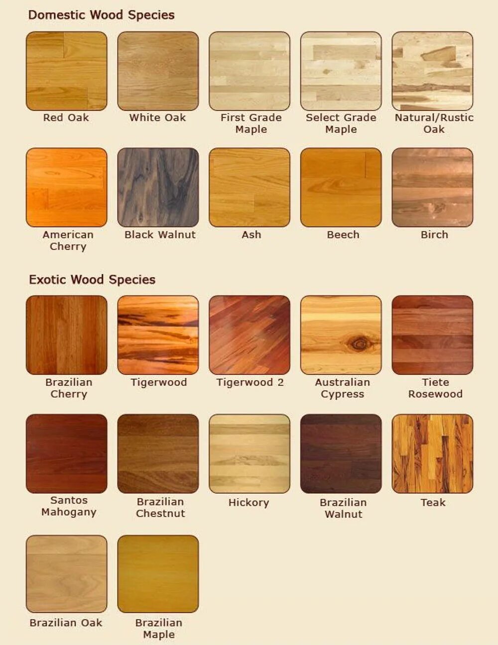 Из какого материала стали или дерева. Цвет древесины разных пород. Породы древесины для мебели. Деревья разных пород. Типы дерева для мебели.