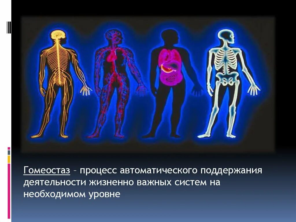 Поддержание жизненной функции