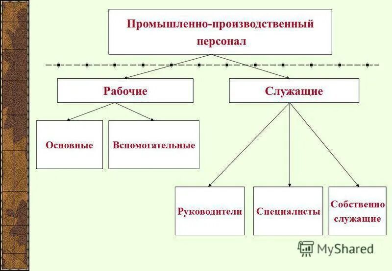 Руководители и специалисты относятся к служащим