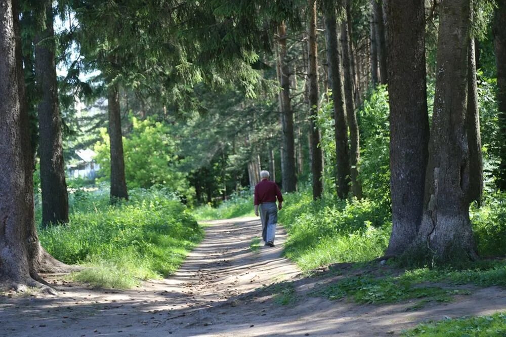 Тропа народа. Парк оружейника Драгунова (Ижевск). Парк Драгунова Ижевск тропа здоровья. Сквер оружейника Драгунова Ижевск. Сквер оружейника Драгунова в Строителе.