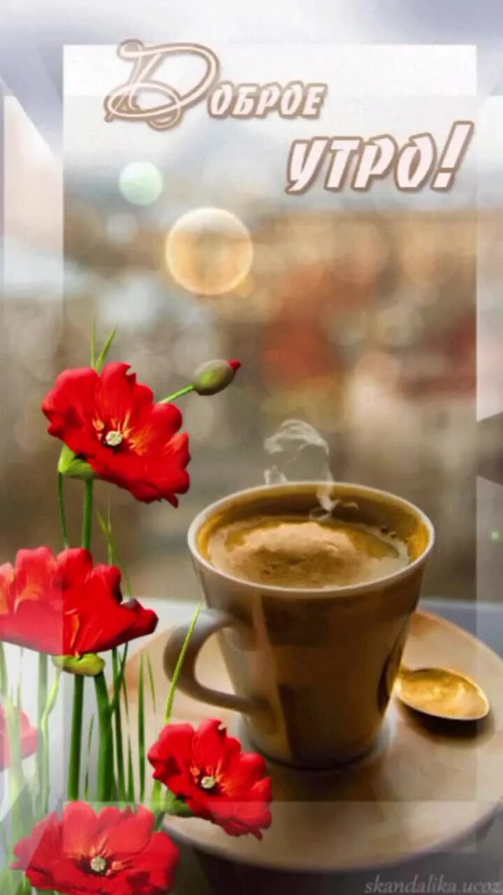 Открытки с добрым утром. Доброе утро 2024 гифки. Доброе утро 2024 гифки. Гифки с добрым утром прикольные. Открытки с добрым утром красивые.