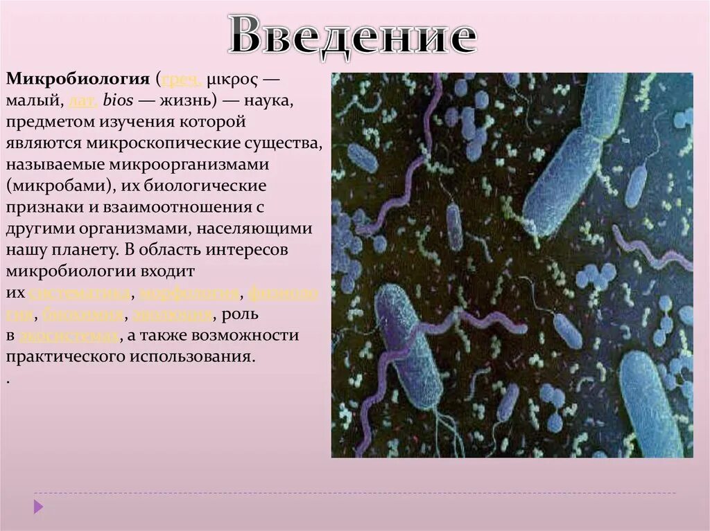 Водородокисляющие бактерии микробиология. Введение в микробиологию. Бактерии микробиология. Микробиология презентация. Наука изучающая бактерии называется