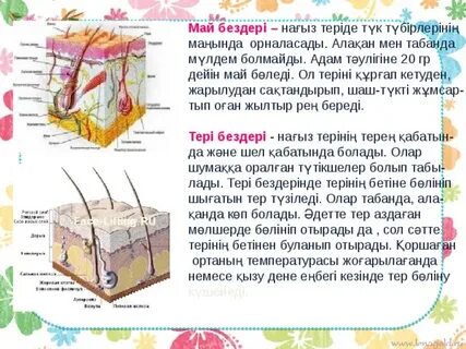 Қызықты және әдемі HD порно