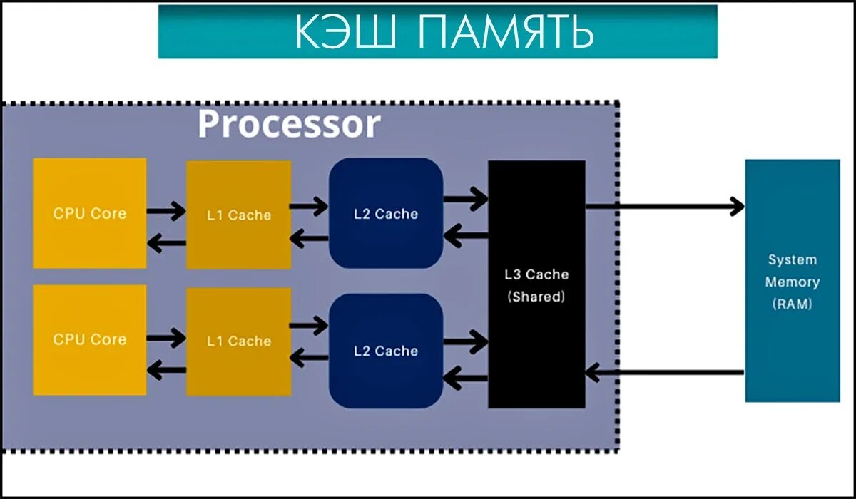 Системный кэш 105 МБ. Как расположен кэш в процессорах AMD. Как выглядит кеш l4. Где находится сверхоперативная кэш память кит.