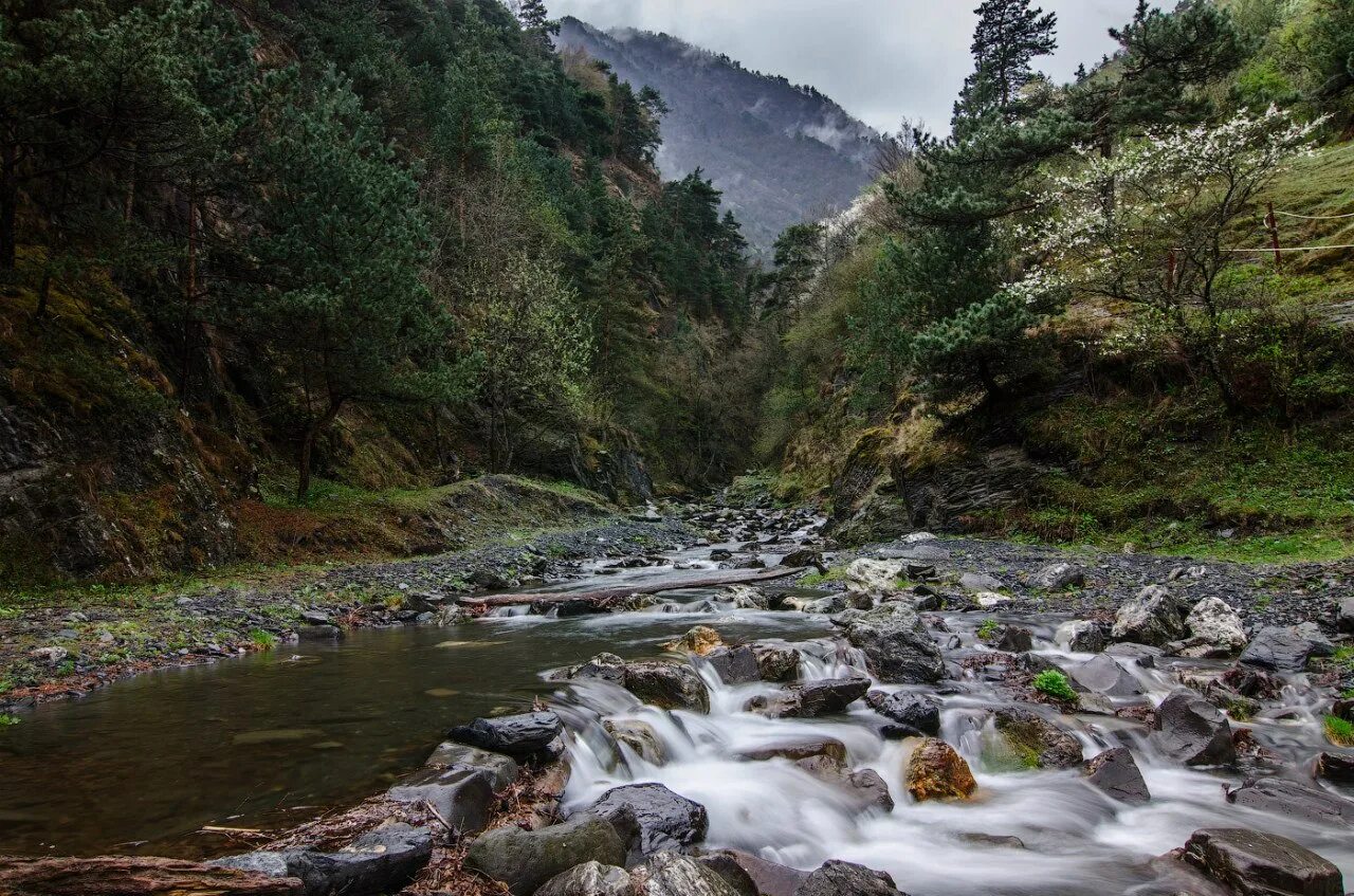 ущелье реки асса ингушетия. река армхи в ингушетии. река асса в ингушетии. ингушетия реки. река фортанга в ингушетии.