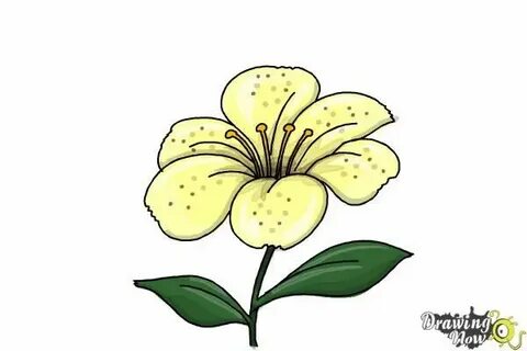 Рисунок цветка 3 класс