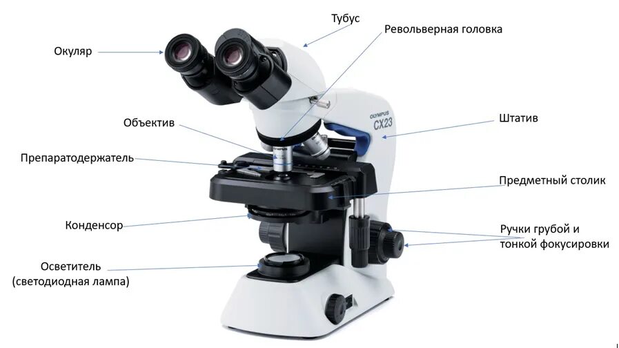 Сетевой микроскоп. Olympus cx23. микроскоп cx23. микроскоп фирмы &quot;olympus&quot; вх45а. бинокулярный микроскоп строение.