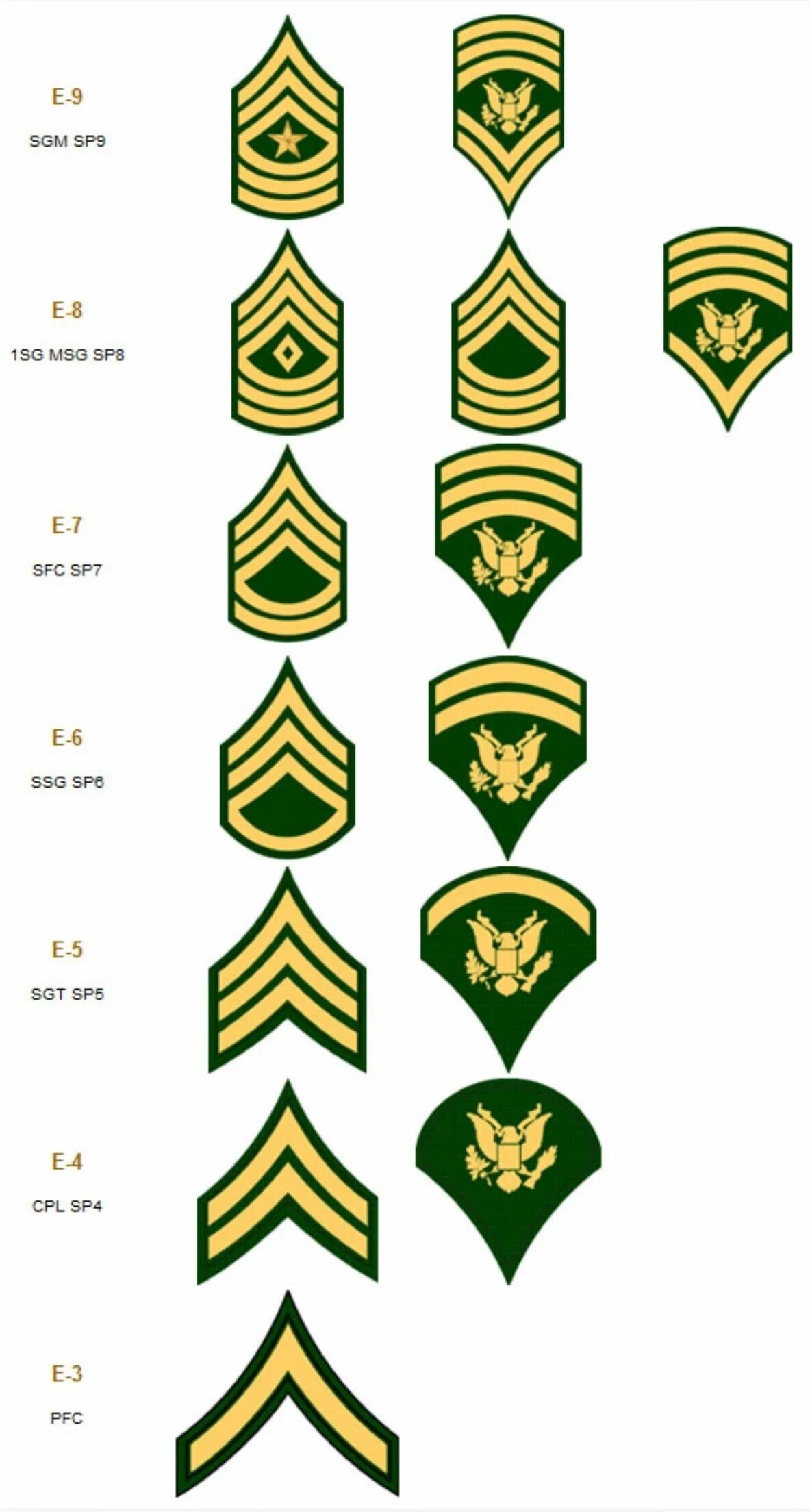 E rank. Звания в армии США. Us Army Ranks and Insignia. Воинские звания США. Американские военные звания.