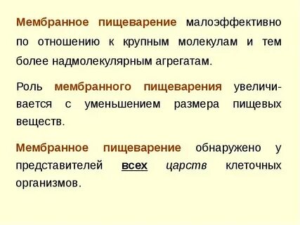 Основная роль мембранного пристеночного пищеварения