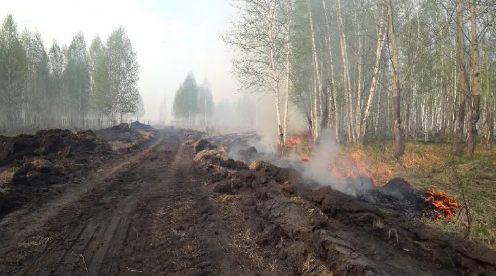 Природные пожары. Лесные пожары на Урале. Пожары в Свердловской области. Лесные пожары в ЕКБ.