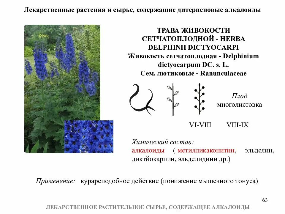 Лекарственное сырье содержащее алкалоиды. Лекарственное сырье содержащее алкалоиды. Лекарственные растения содержащие алкалоиды. Растения содержащие алкалоиды. Лекарственные растения и сырье, содержащие алкалоиды.