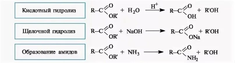 Щелочный гидролиз. Гидролиз сложных эфиров в щелочной среде. Гидролиз сложных эфиров в кислой среде и щелочной механизм. Гидролиз пропилацетата в кислой среде. Гидролиз эфиров в кислой среде.