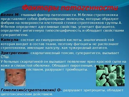 Интоксикация белком