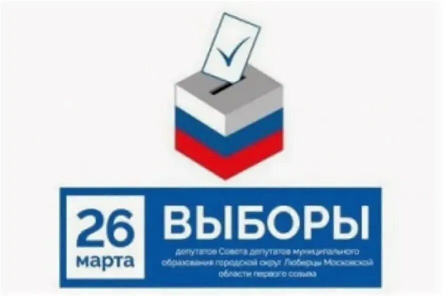 Выборы депутатов советов депутатов в городе москве. Выборы депутатов советов депутатов в городе москве