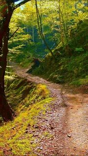 Section path