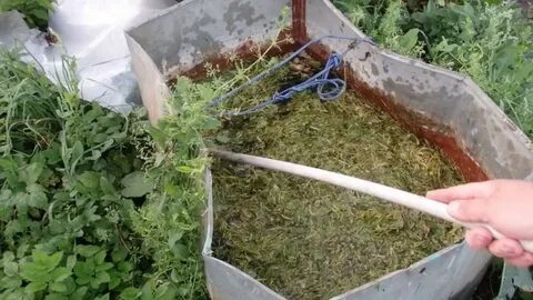Скошенную траву в теплицу