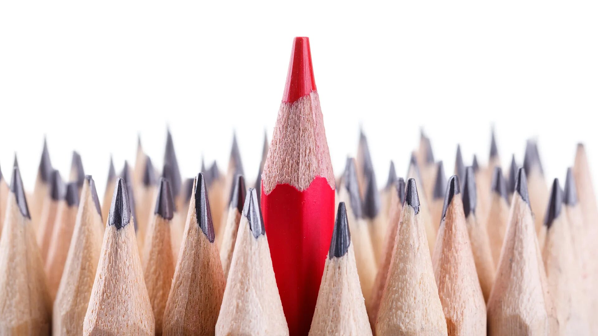 красный карандаш города. красный карандаш города. красный карандаш города. красный карандаш города. художественный магазин на таганке.