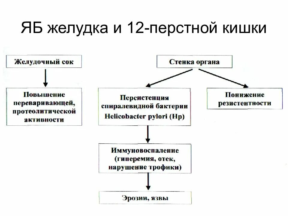 Алгоритм язва желудка. Язвенная болезнь желудка классификация препаратов. язвенная болезнь желудка фармакология. клиническая фармакология язвенная болезнь. классификация препаратов для лечения язвенной болезни.