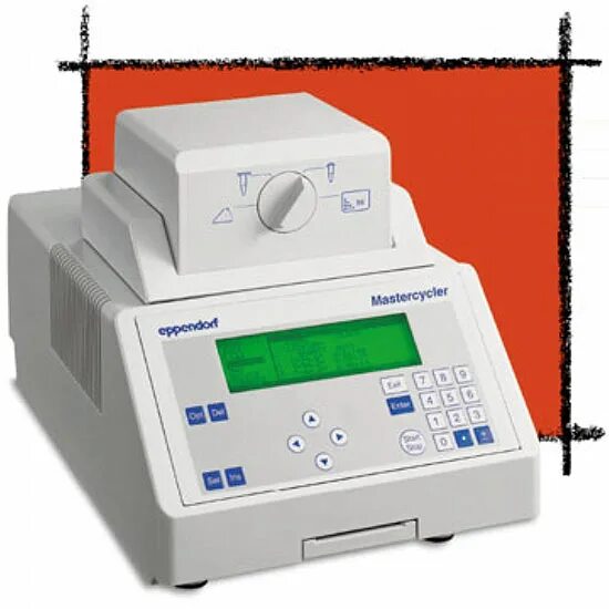 Программируемый днк амплификатор eppendorf. Амплификатор пцр. Сигнатурные амплификаторы zzz. Амплификатор cfx96 bio-rad. Амплификатор cfx96 bio-rad.