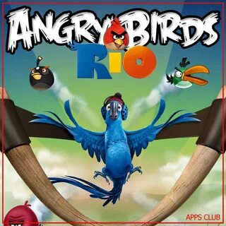 Rio birds