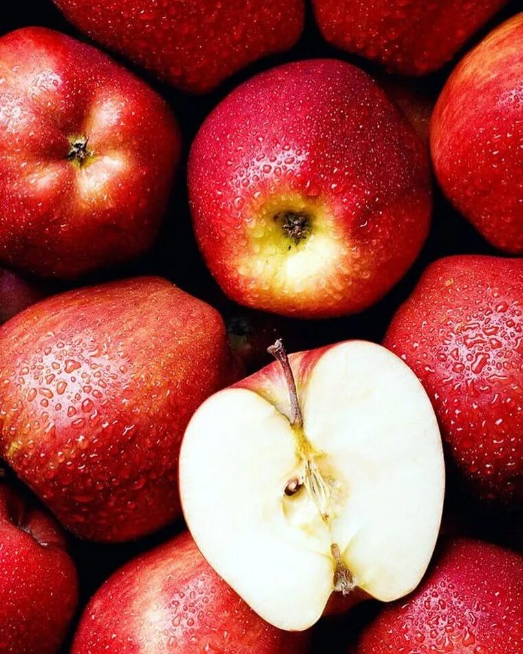 Сочное яблоко. Очень сочные яблоки. Яблоки фото красивые. Яблоки. Яблоки красные.