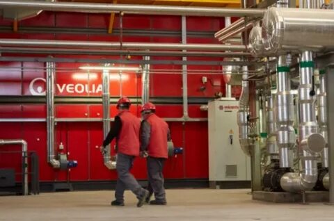 Viola energy tashkent