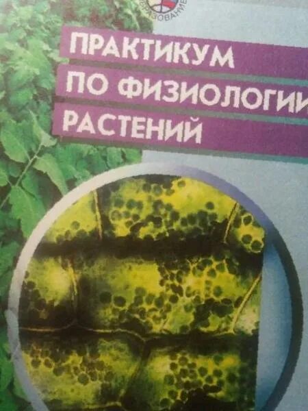 физиология растений книги. андрей александрович рихтер. физиология растений учебник для вузов. биохимические методы книга. практикум по физиологии растений.