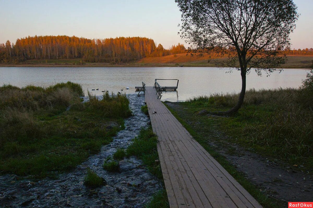 Озерк. Городищенское озеро Изборск. Псков Городищенское озеро. Городецкое озеро Изборск. Мальское озеро.