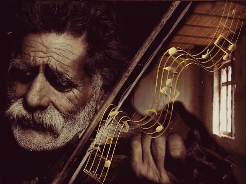 Музыкант со скрипкой. Старый скрипач. Седой скрипач. Старик скрипач. Стариков скрипка