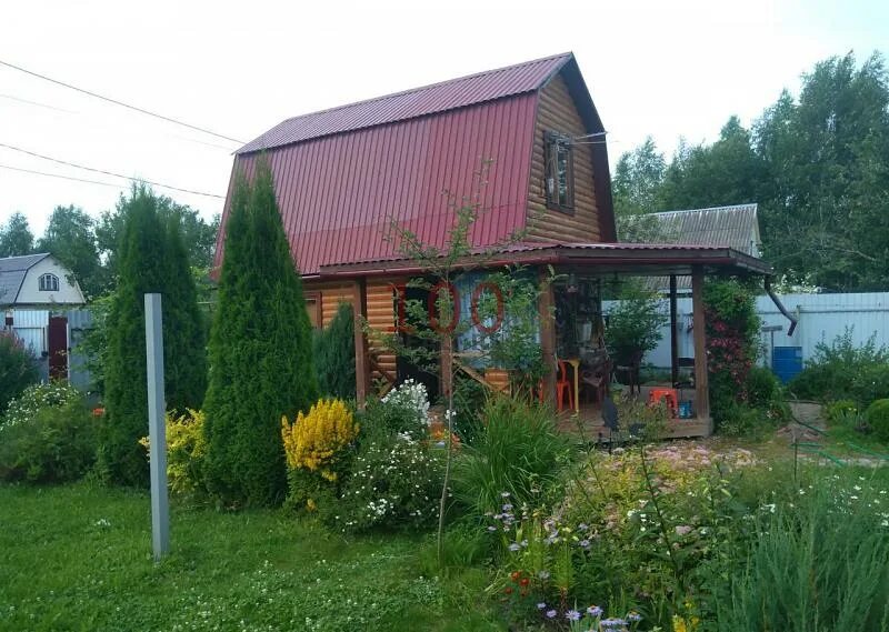 Дачи снт дубки. Туапсе снт дубки. Снт дубки климовск. Снт дубки геральдика. Дача дубки.