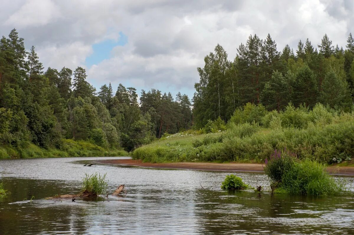 Река забобуриха кольцово. Река локныш. Река горынь украина. Река малая ея. Река малая ея.